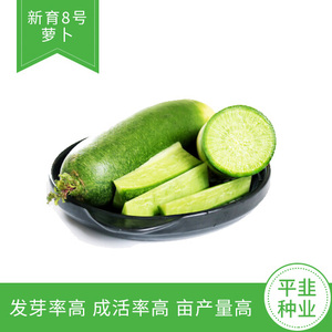 新育8号萝卜